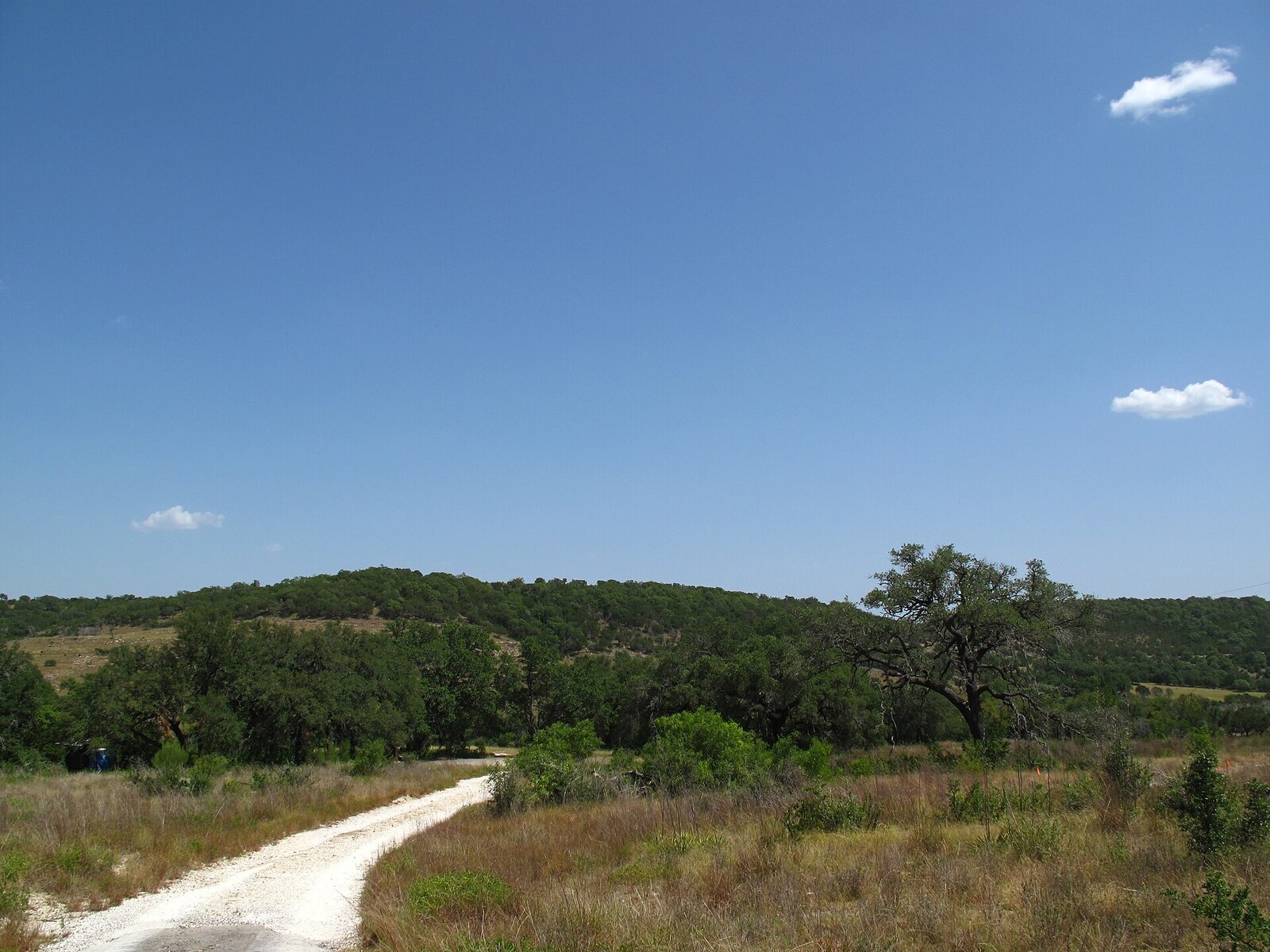 Texas Hill Country limestone hills, river, live oaks and wildflowers at sunset