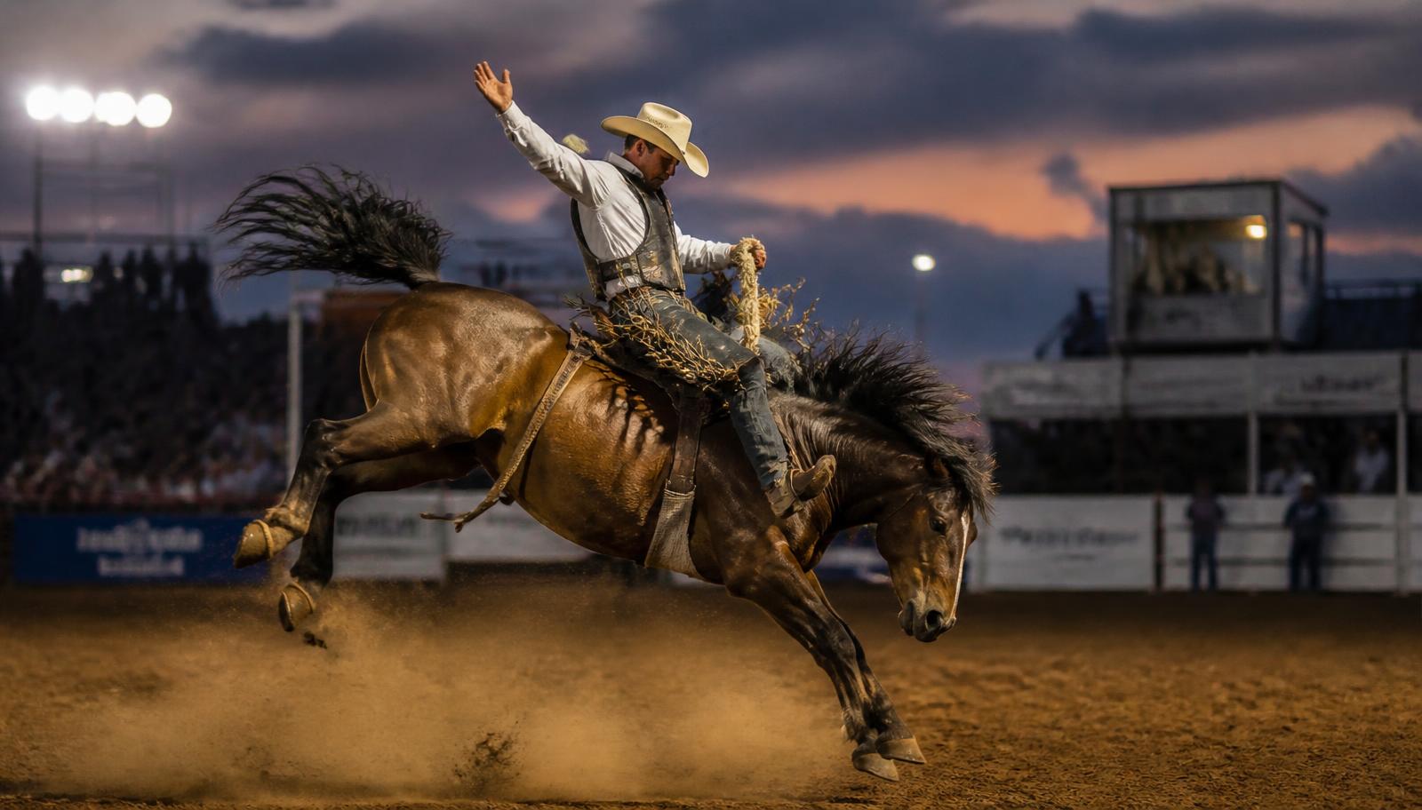 A cowboy riding a bucking bronc in a dusty Texas rodeo arena at dusk