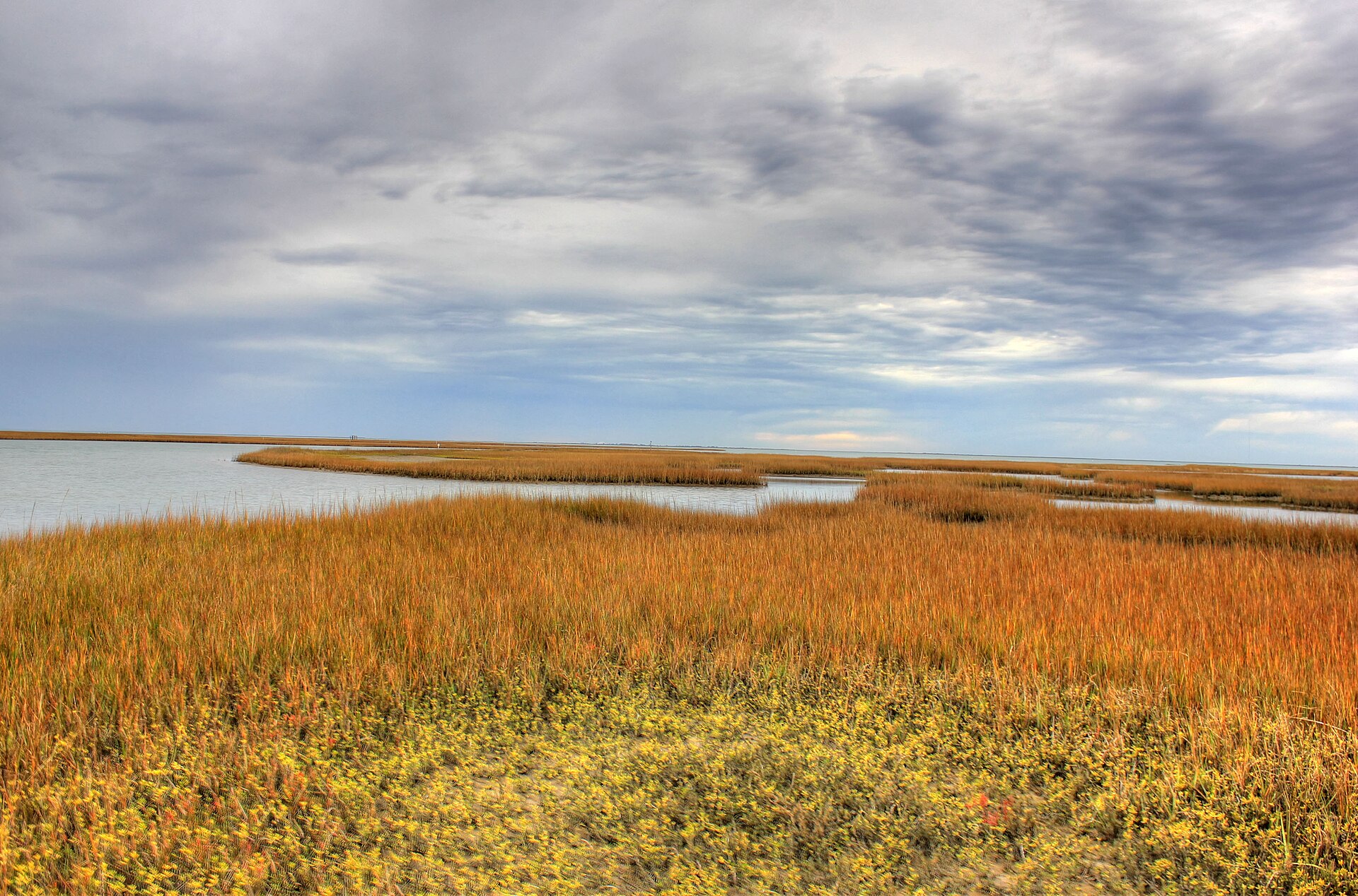 Galveston Island State Park, Texas
