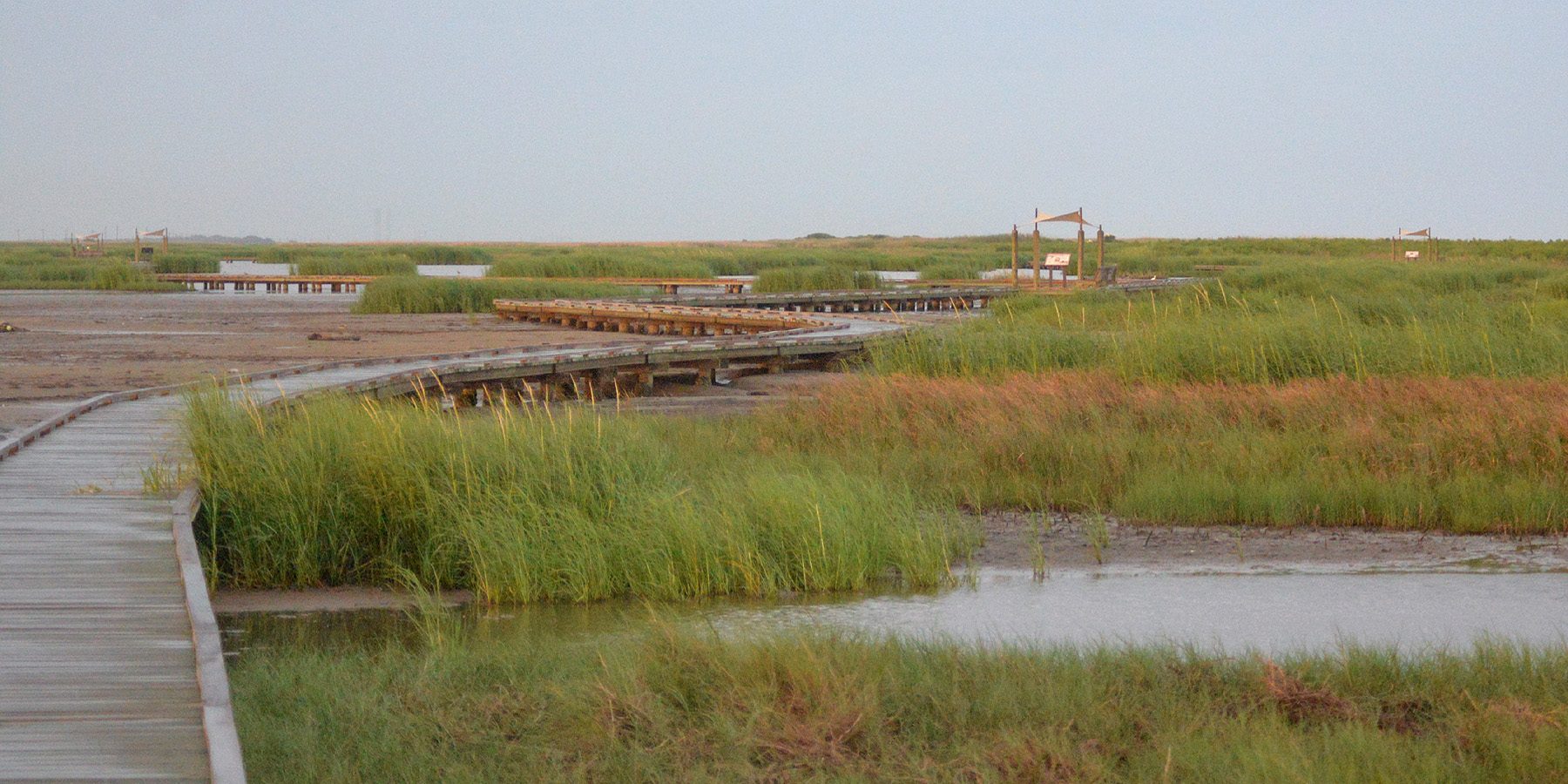 Sea Rim State Park, Texas