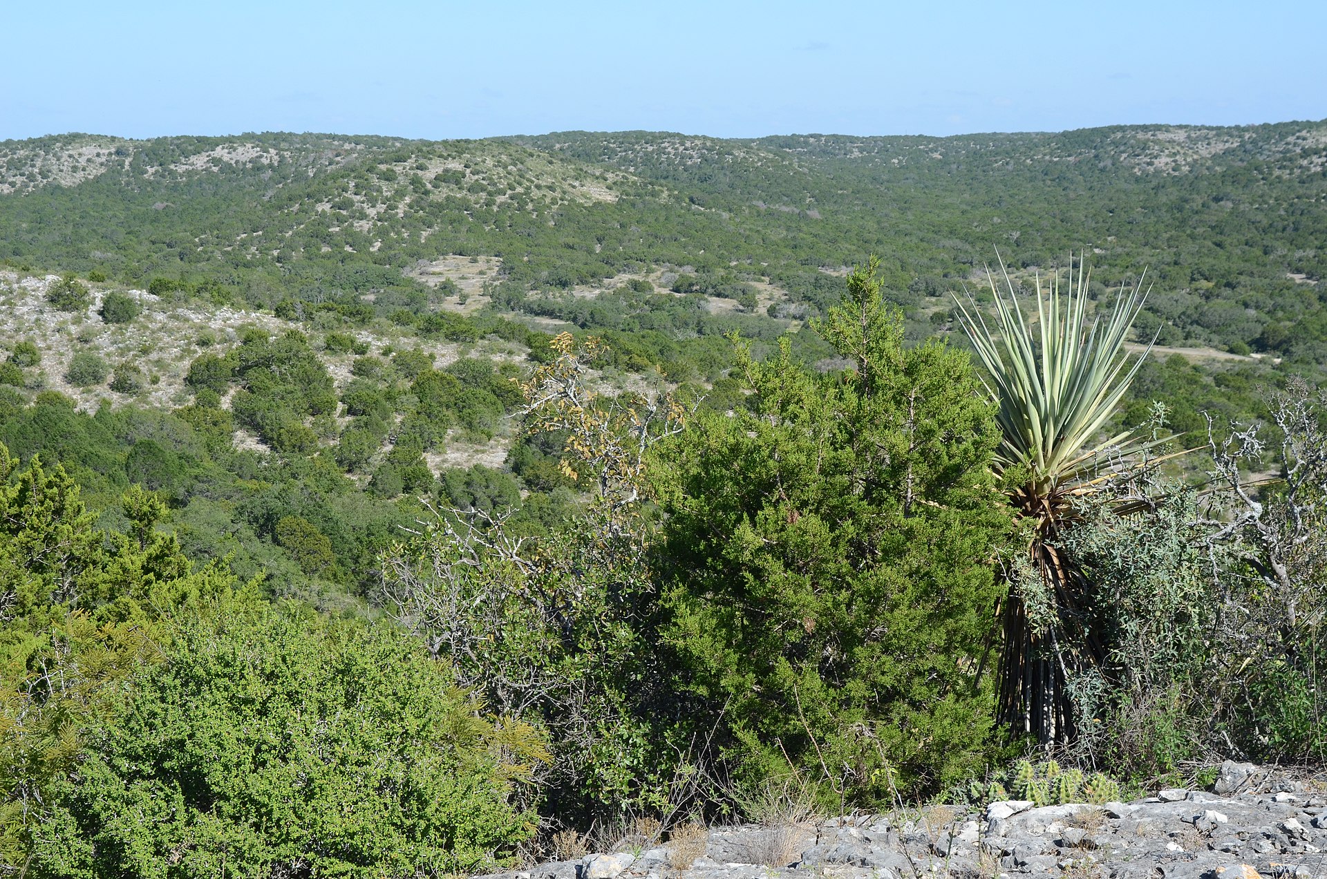 Kickapoo Cavern State Park, Texas