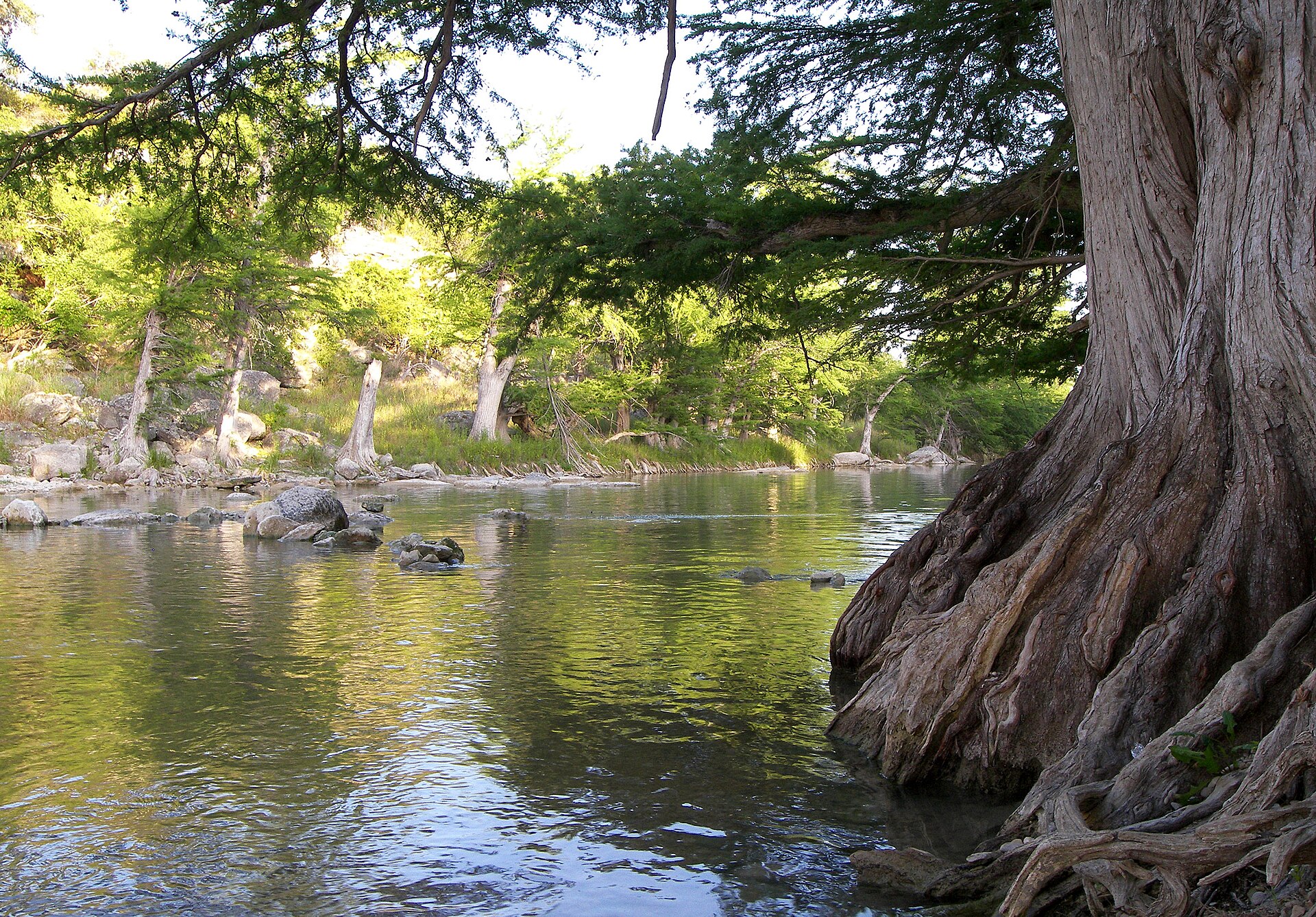 Guadalupe River State Park, Texas