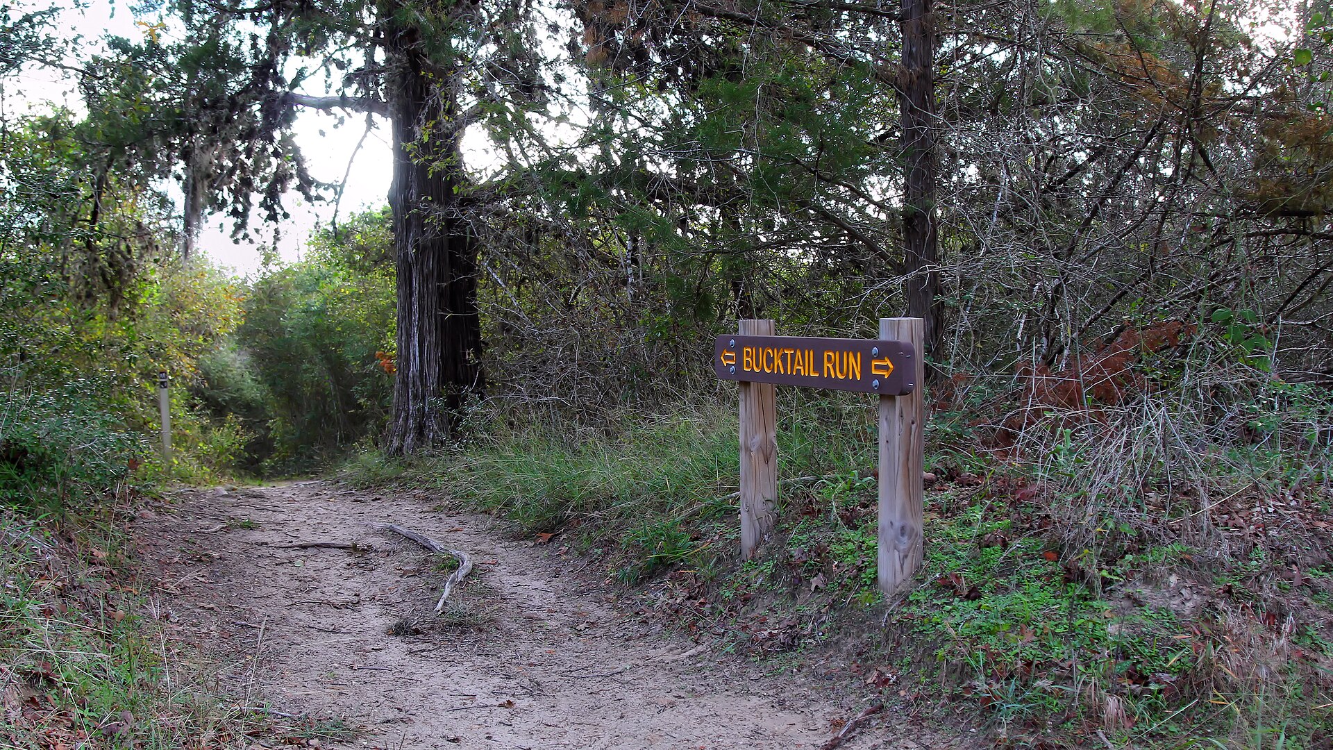 Open water and wooded shoreline in the Brazos River basin