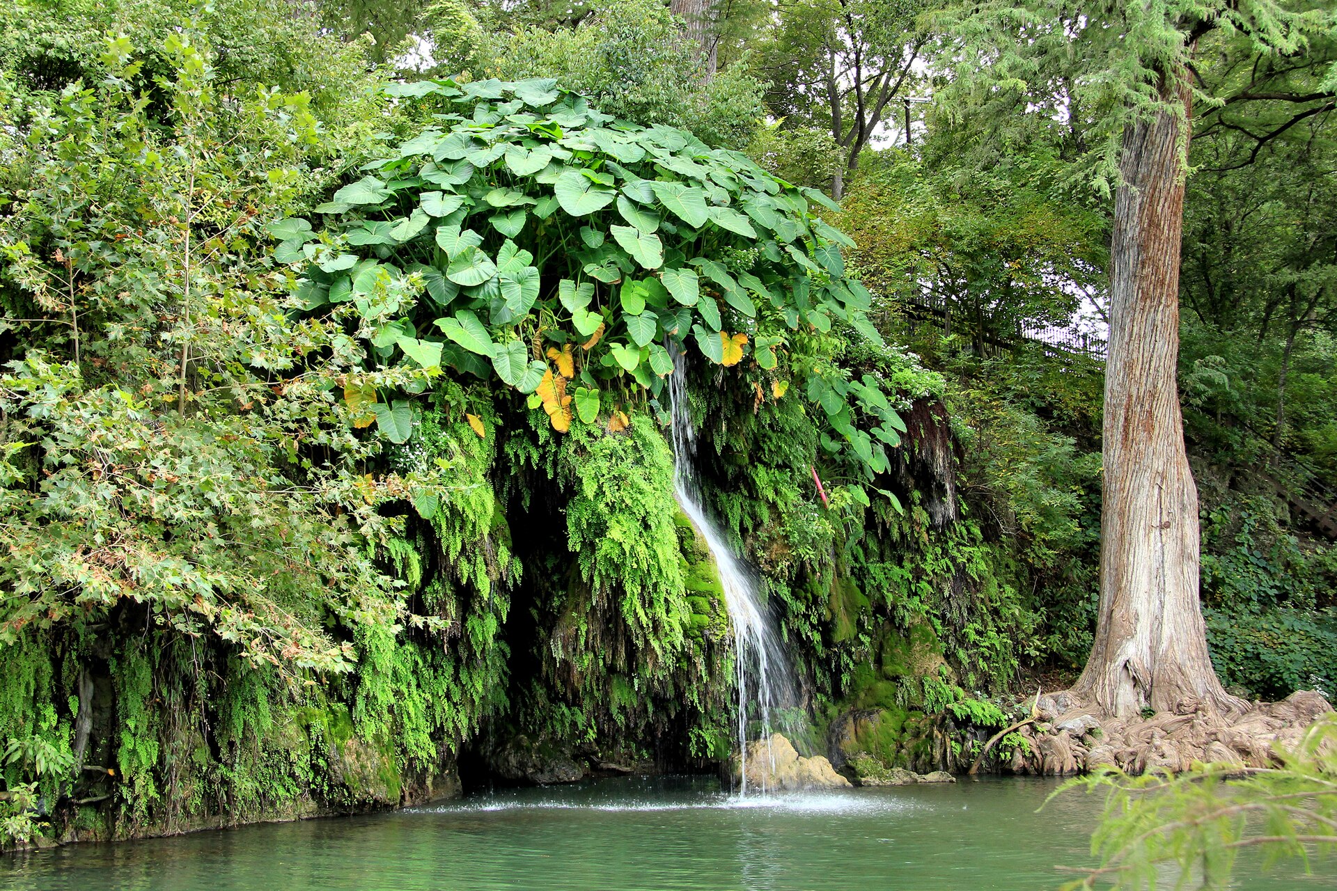 Krause Springs, Texas