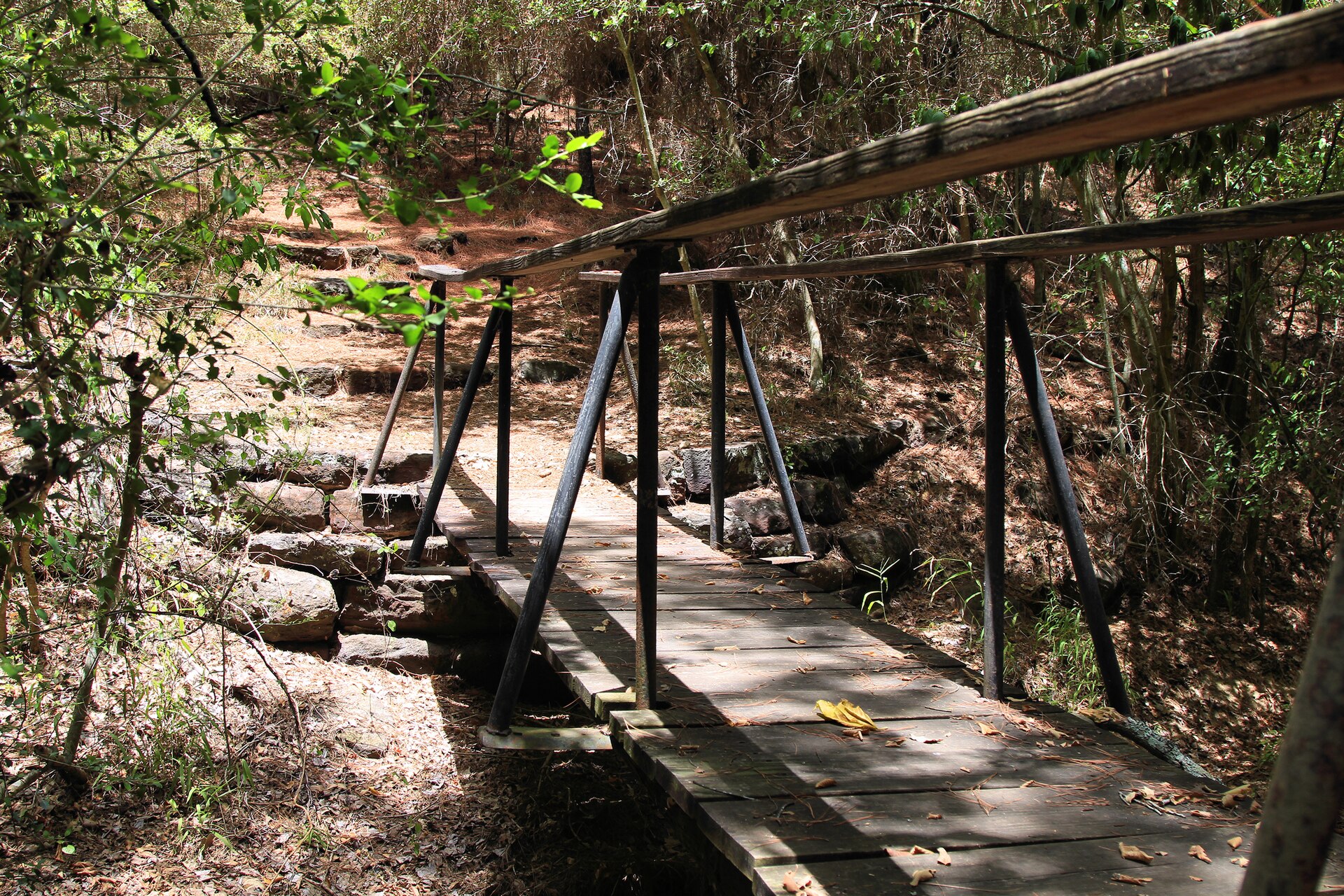 Buescher State Park, Texas