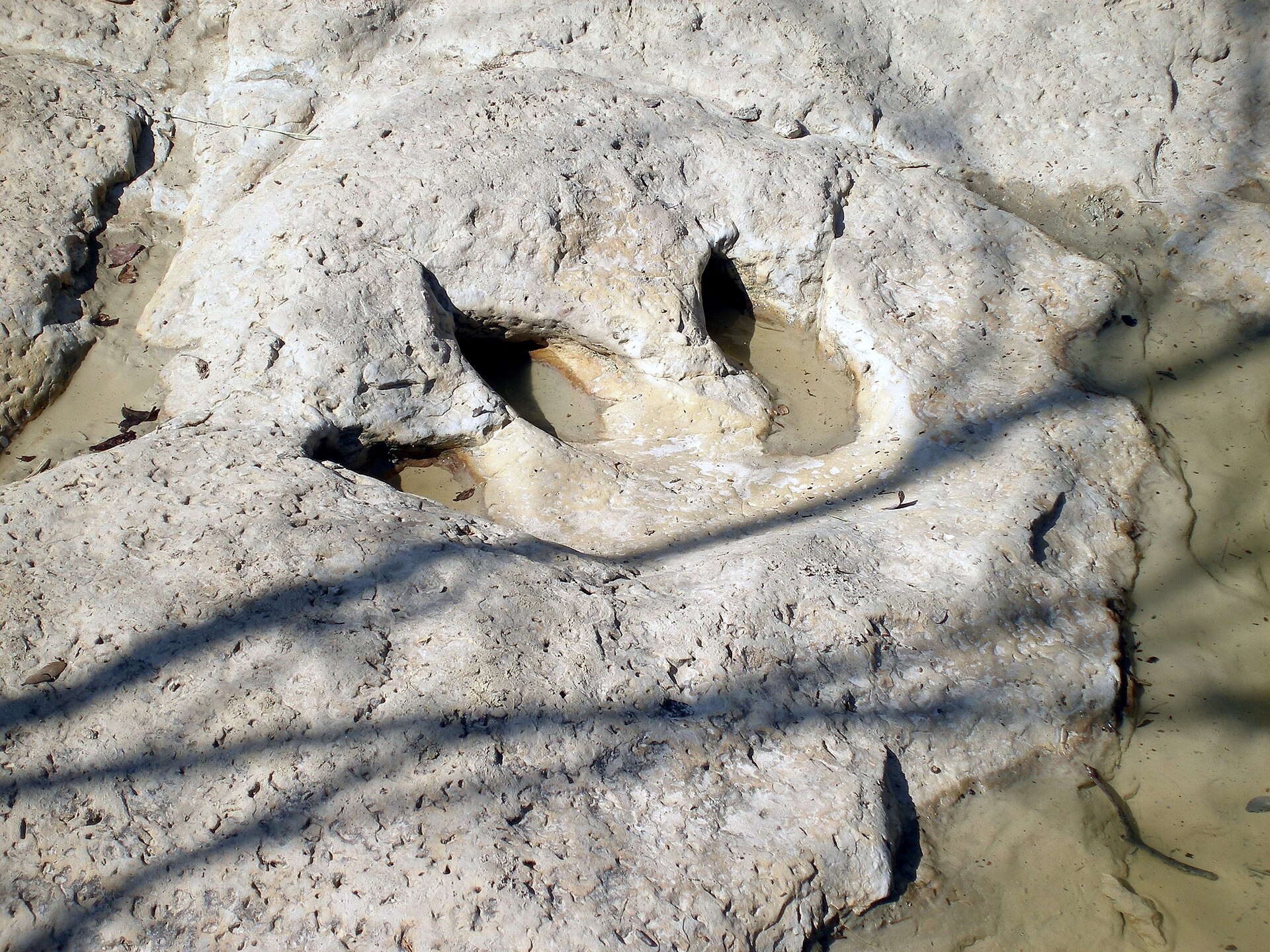 Dinosaur Valley State Park, Texas