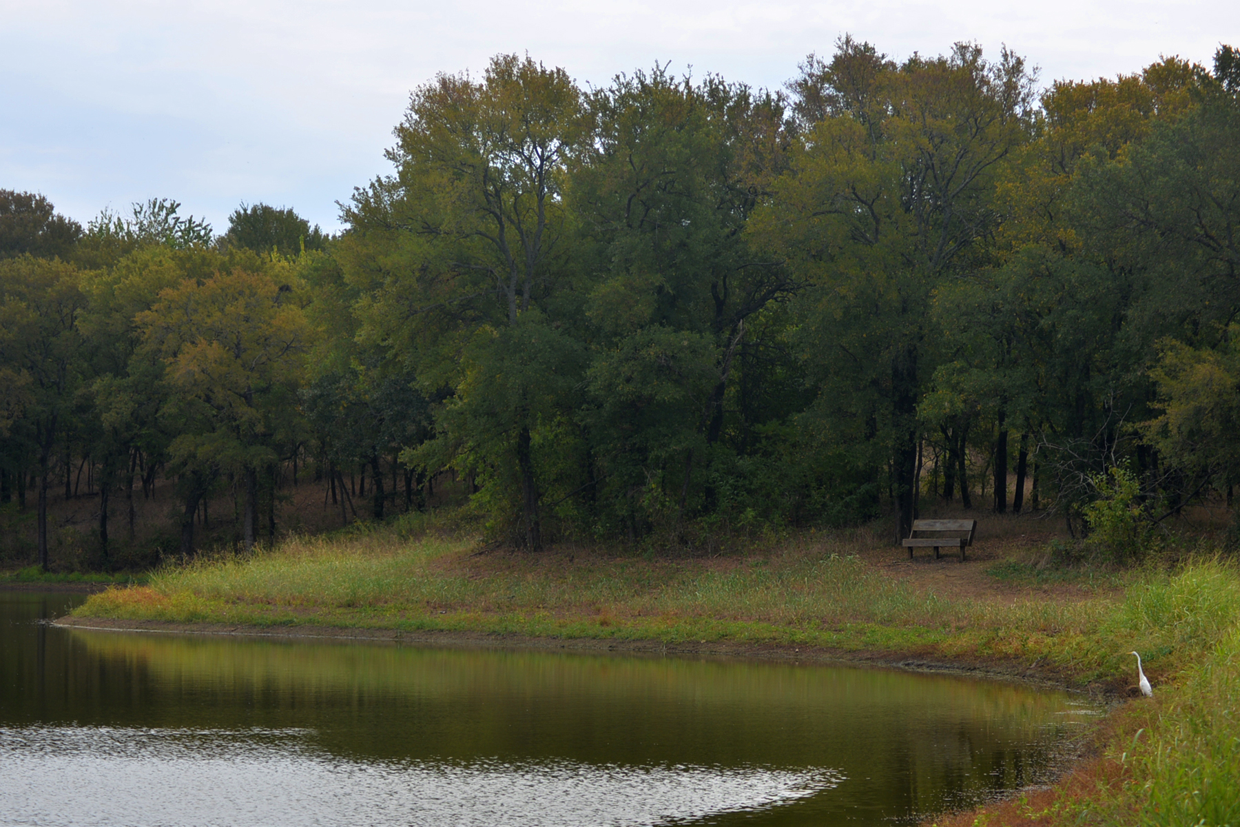 Harris Trail landscape at Hagerman National Wildlife Refuge in Grayson County